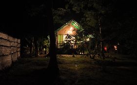 Coconut Tree House