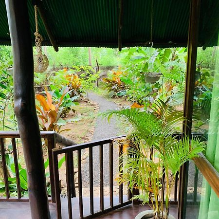Hotel Coconut Tree House à Uda Walawe Extérieur photo