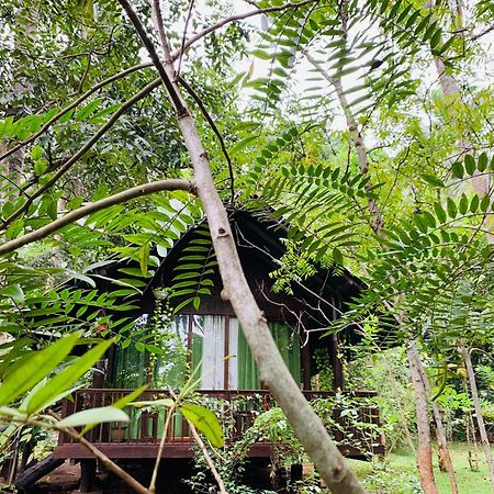 Hotel Coconut Tree House à Uda Walawe Extérieur photo